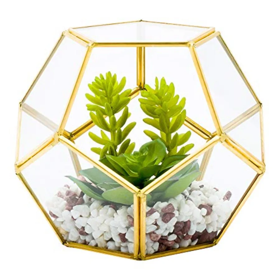 6.7 x 6.3 x 6.3 Inch Faux Succulent in Pentagon Glass Terrarium Gold Plastic Artificial Desk Plant for Table or Shelf Decor Geo
6.7 x 6.3 x 6.3 Inch Faux Succulent in Pentagon Glass Terrarium Gold Plastic Artificial Desk Plant for Table or Shelf Decor Geo