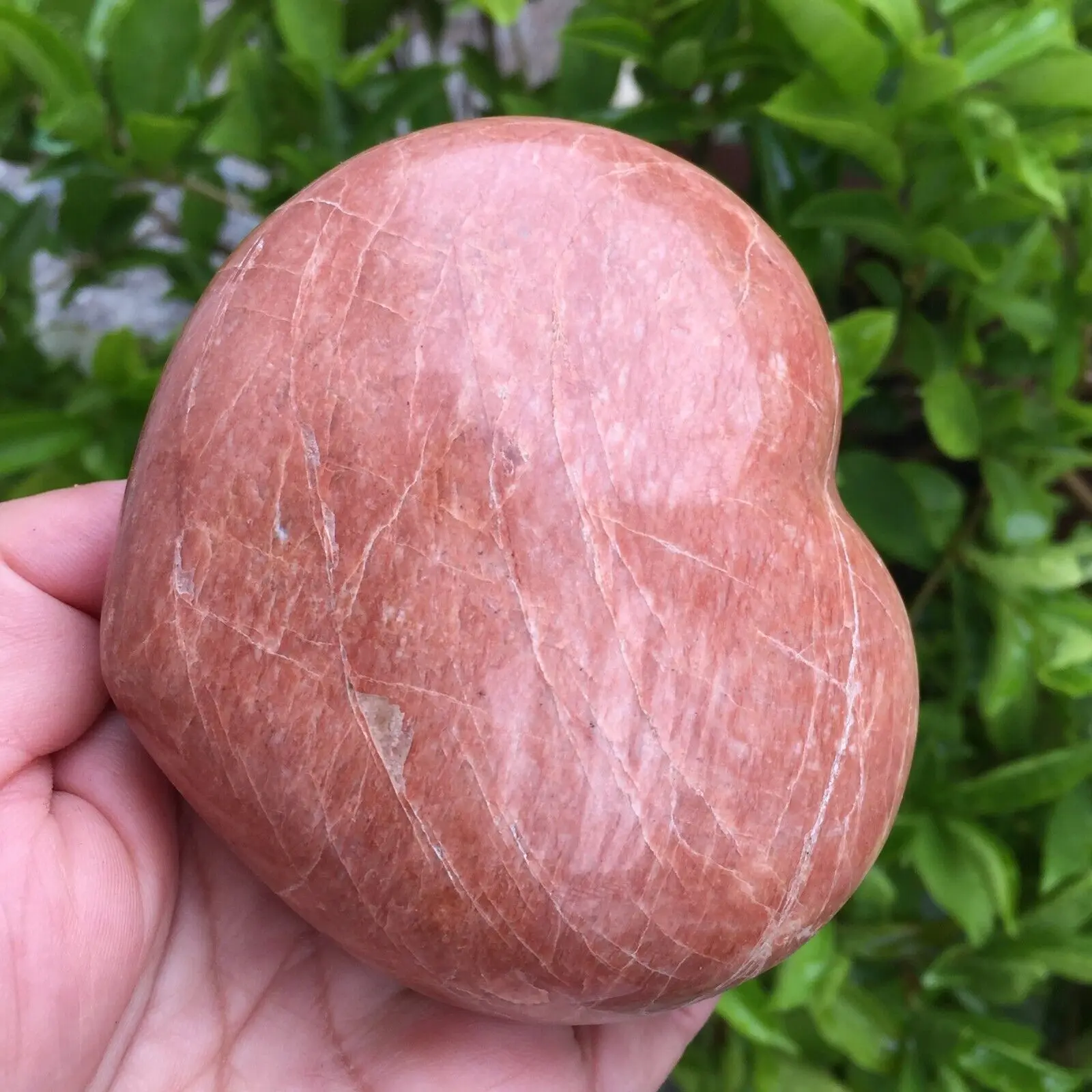 Natural Orange Moonstone Crystal Heart Shaped Stones Healing Specimen Decor Gift
Natural Orange Moonstone Crystal Heart Shaped Stones Healing Specimen Decor Gift