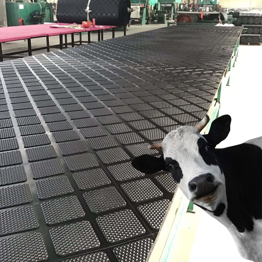Factory Direct Sale Non-Slip Rubber Horse Barn Mat Wear-Resistant Breeding Animal Husbandry Stable Mat Custom Cut
Factory Direct Sale Non-Slip Rubber Horse Barn Mat Wear-Resistant Breeding Animal Husbandry Stable Mat Custom Cut