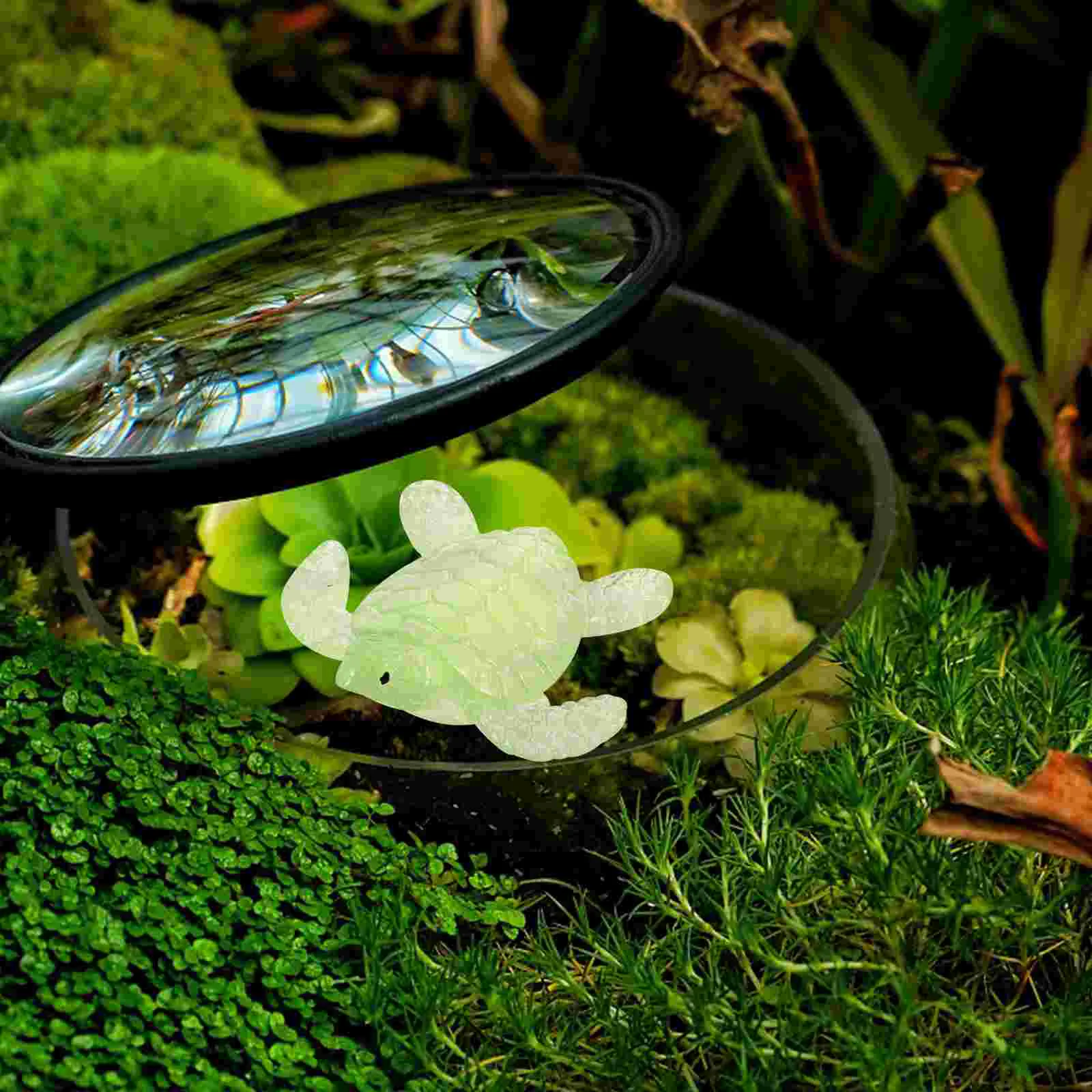 5 Pcs Ornaments Fluorescent Moss Fish Tank Landscaping Resin Crafts Turtle Figurines Sea Desk Decor Statue Office
5 Pcs Ornaments Fluorescent Moss Fish Tank Landscaping Resin Crafts Turtle Figurines Sea Desk Decor Statue Office