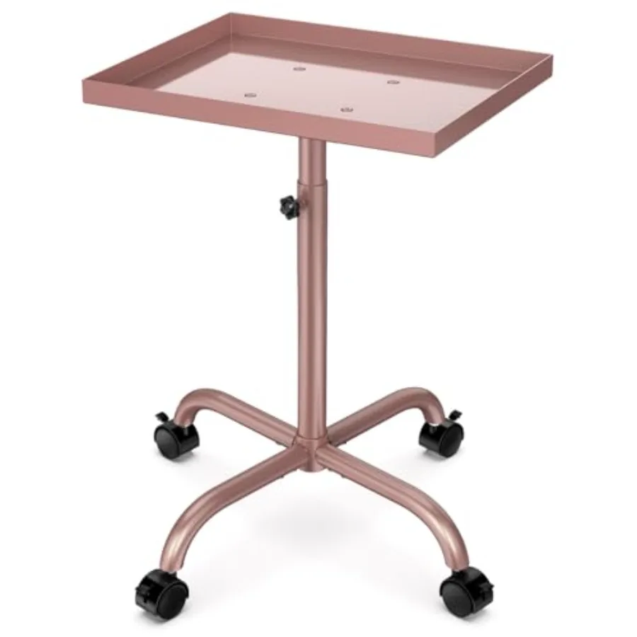 Salon Tray Cart Tattoo Tray Rolling Tray Adjustable Height Storage Tray Cart Hair Stylist Tray Cart Service Tray Trolley for Ho
Salon Tray Cart Tattoo Tray Rolling Tray Adjustable Height Storage Tray Cart Hair Stylist Tray Cart Service Tray Trolley for Ho