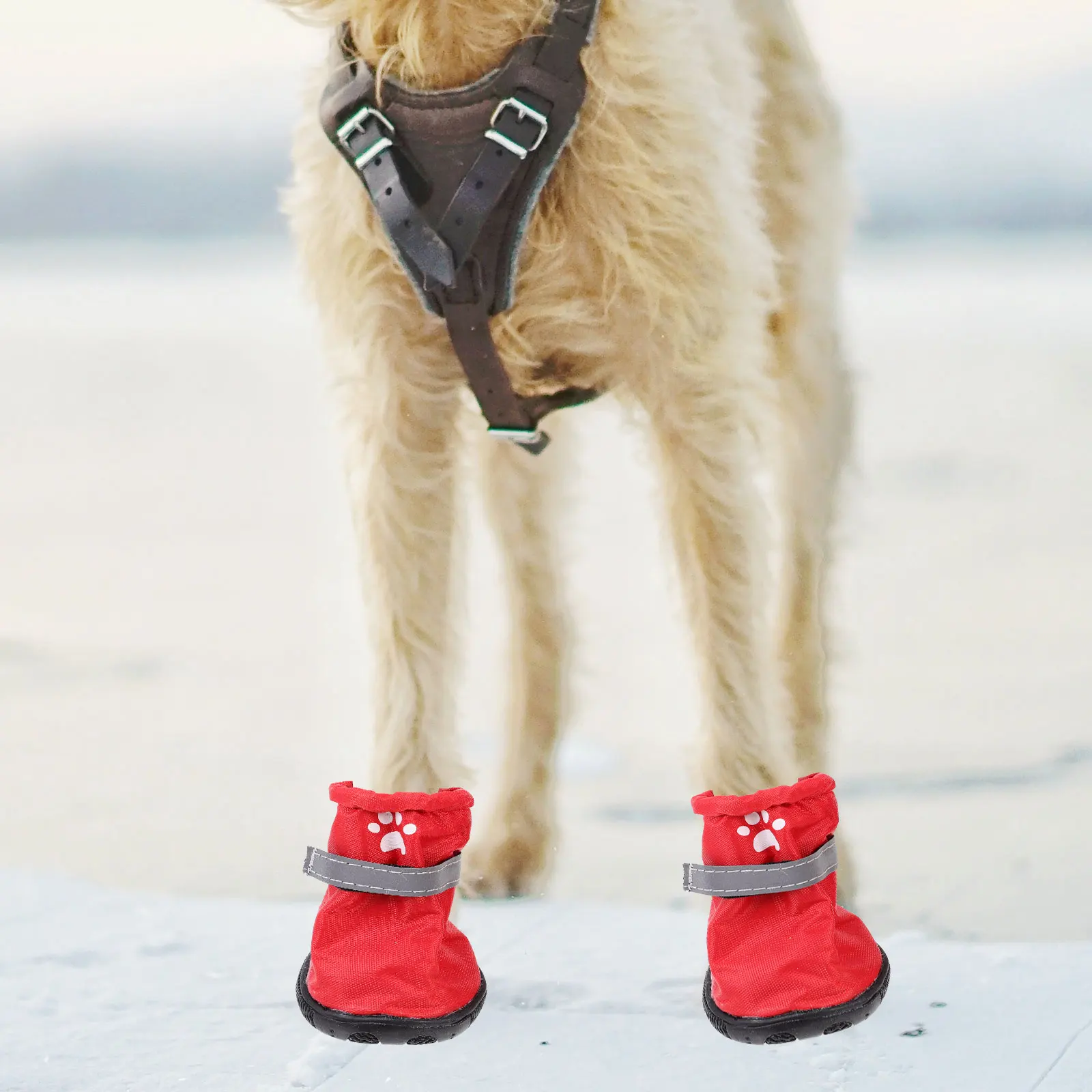 4 Pcs Waterproof Dog Boots Pet Shoes Outdoor Snow Booties Paws Protect Prevent Scratches Wooden
4 Pcs Waterproof Dog Boots Pet Shoes Outdoor Snow Booties Paws Protect Prevent Scratches Wooden