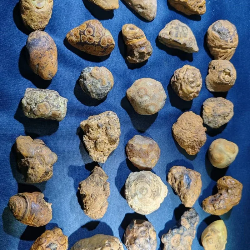 1pcs/lot The world's strongest energy stone has a specimen of the Meng Dzi rough with wonderful eyes Collectible diy taki
1pcs/lot The world's strongest energy stone has a specimen of the Meng Dzi rough with wonderful eyes Collectible diy taki