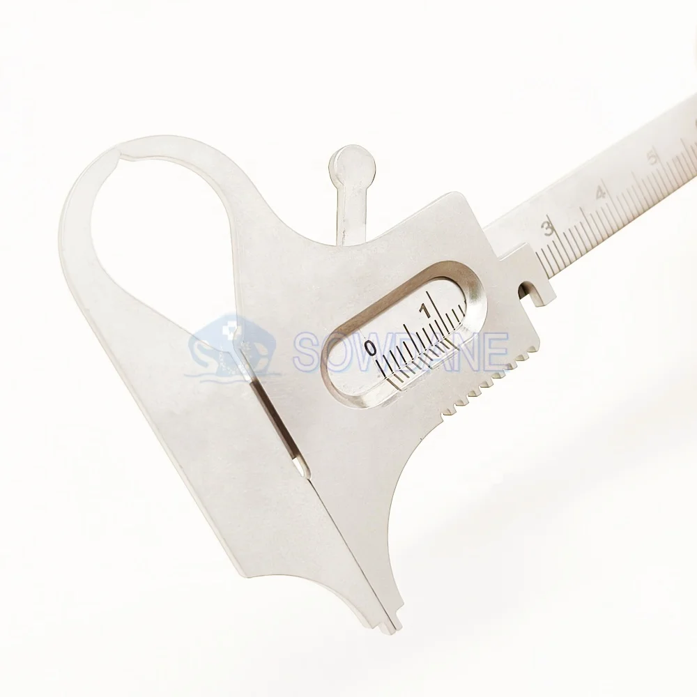 High Quality Lab Orthodontics Rulers Vernier Calipers Lab Measuring Ruler Caliper Teeths Gauge Stainless Steel
High Quality Lab Orthodontics Rulers Vernier Calipers Lab Measuring Ruler Caliper Teeths Gauge Stainless Steel