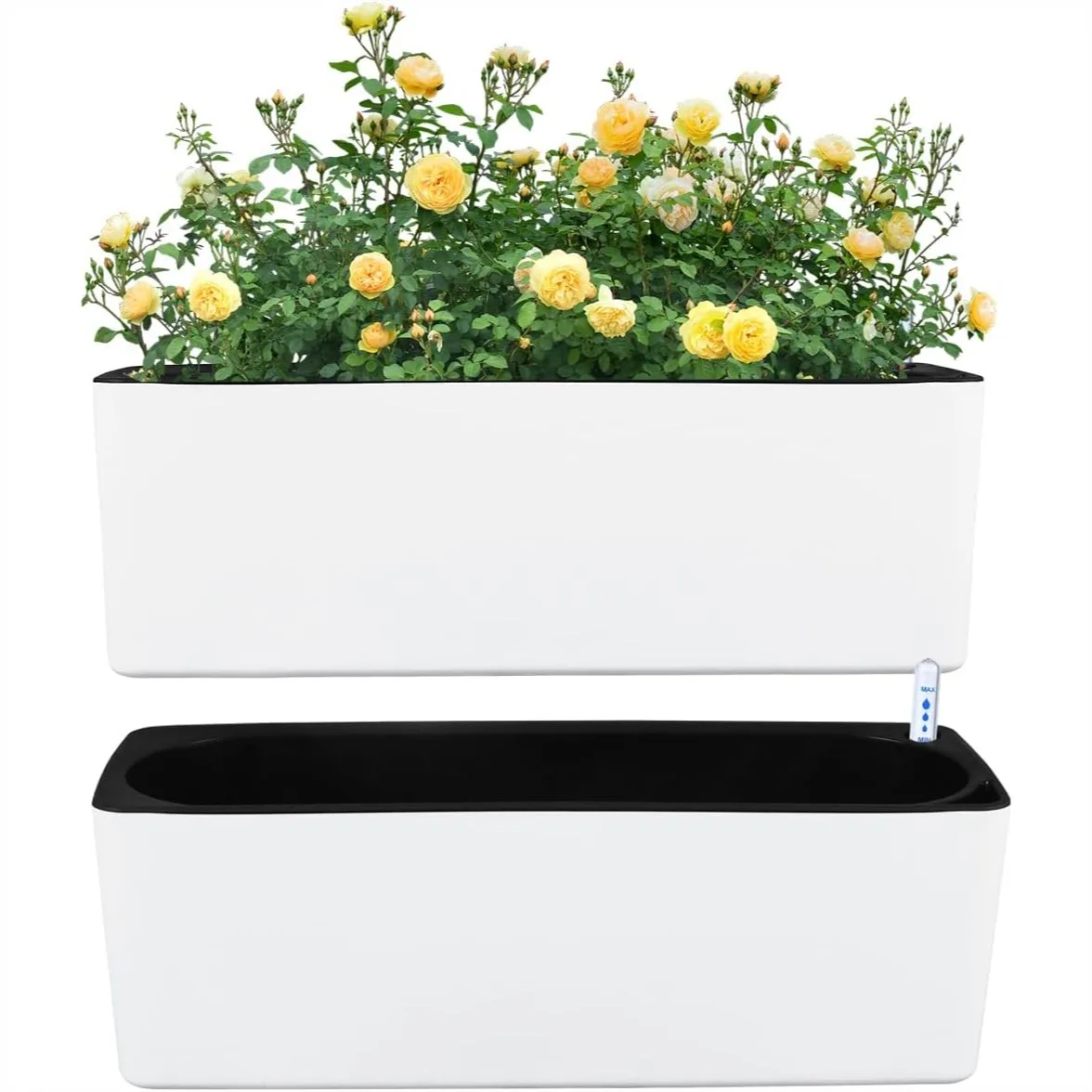 2 Pack Self Watering Rectangular Planter 15.6x5.4 inch with Drainage Holes for Indoor Herbs
2 Pack Self Watering Rectangular Planter 15.6x5.4 inch with Drainage Holes for Indoor Herbs