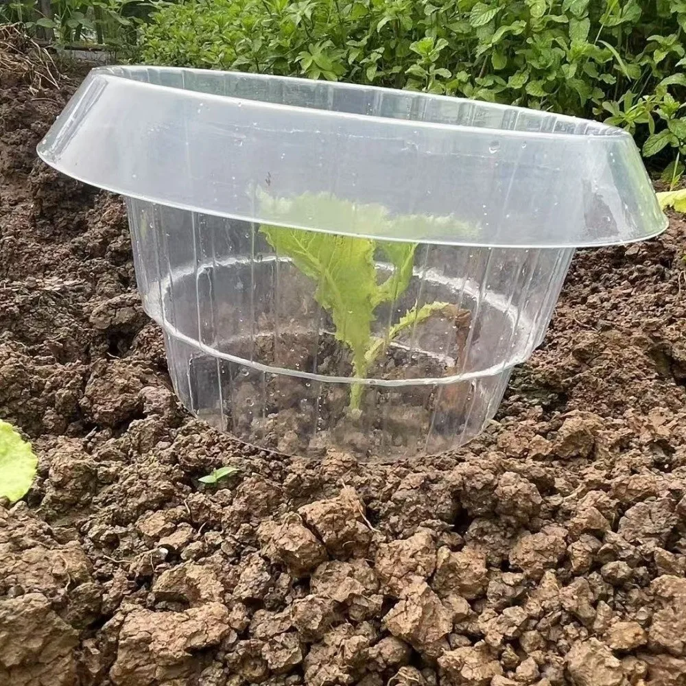10PCS Plastic Vegetable Slug Collars Thickened Insect-Proof Plant Protection Covers No Light Blocking Round
10PCS Plastic Vegetable Slug Collars Thickened Insect-Proof Plant Protection Covers No Light Blocking Round