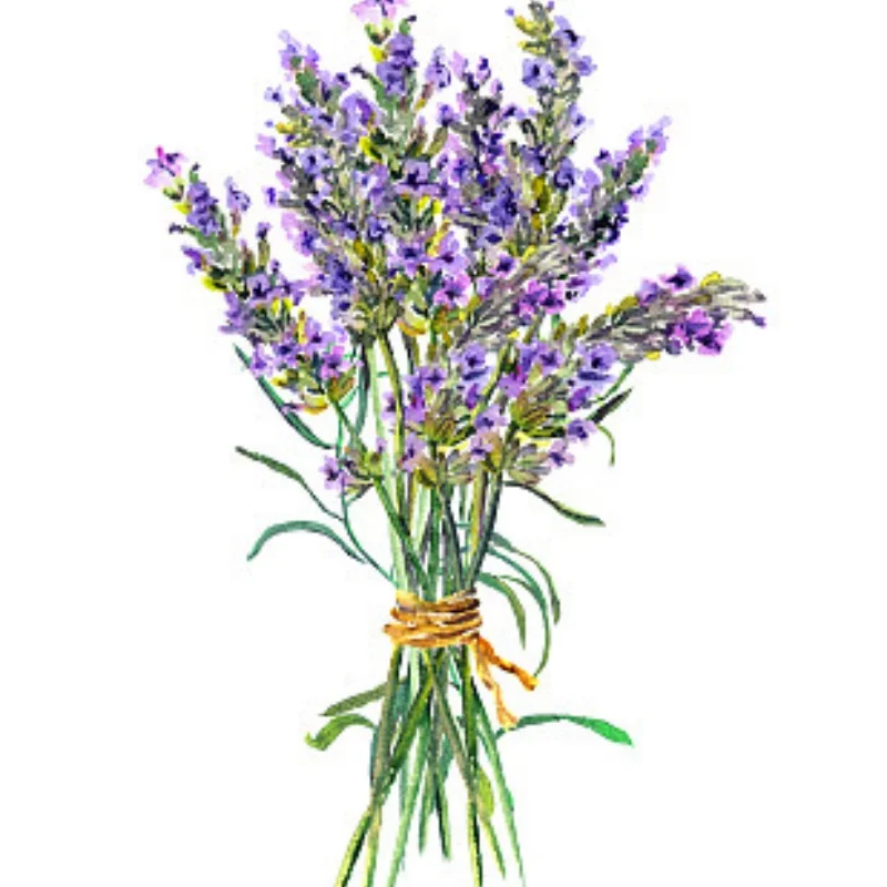 2 Pcs Oil Adjustable 65Mm Shock Absorber Damper for Rc Car 1/18 WLtoys A959 A969 A979 K929 Hpi Hsp Trxs Losi Tamiya
2 Pcs Oil Adjustable 65Mm Shock Absorber Damper for Rc Car 1/18 WLtoys A959 A969 A979 K929 Hpi Hsp Trxs Losi Tamiya