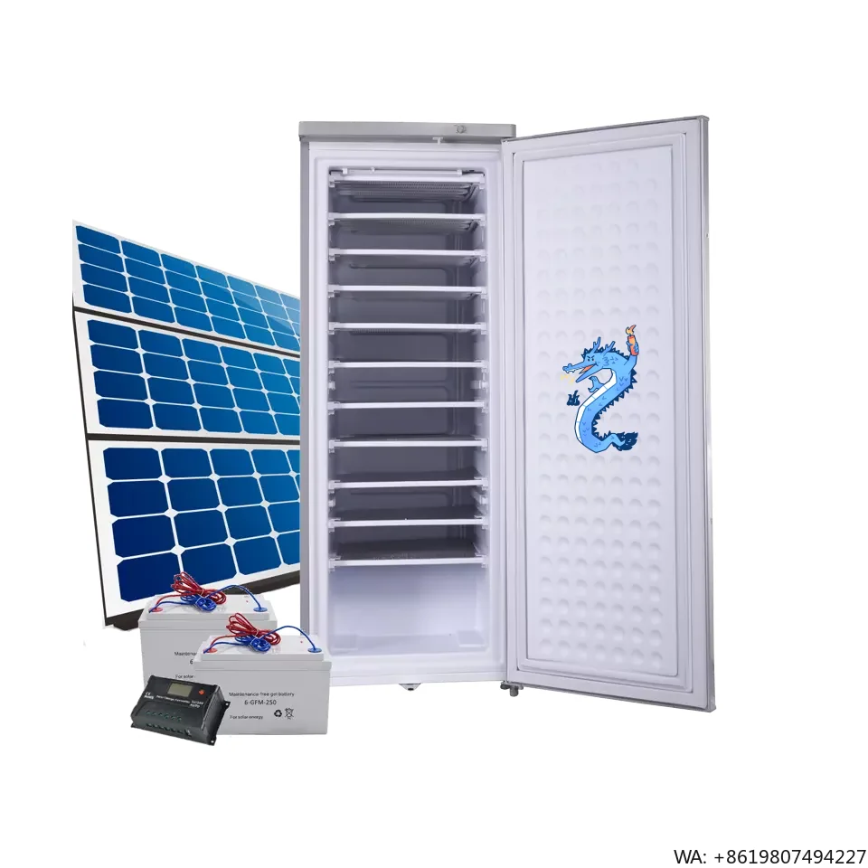 Manufacturer 198L UPRIGHT Congelateur Solaire Hybride Freezer
Manufacturer 198L UPRIGHT Congelateur Solaire Hybride Freezer