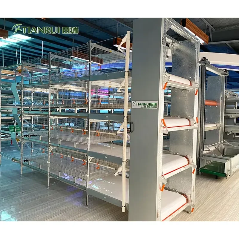 New H Type Hot Galvanized Chicken Cage for Broiler Raising with 128 Birds Capacity
New H Type Hot Galvanized Chicken Cage for Broiler Raising with 128 Birds Capacity