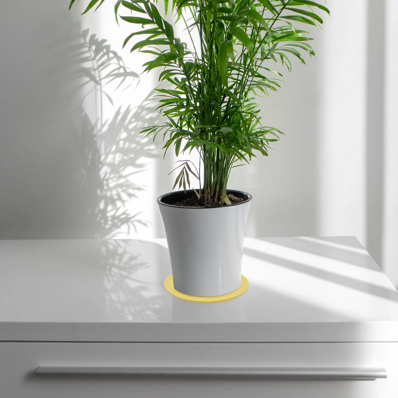 4Pcs Potted Plant Trays Fine Workmanship Practical Simple Design Round Plant Pot Trays Home Gardening Decor Home Flowerpot Plate
4Pcs Potted Plant Trays Fine Workmanship Practical Simple Design Round Plant Pot Trays Home Gardening Decor Home Flowerpot Plate