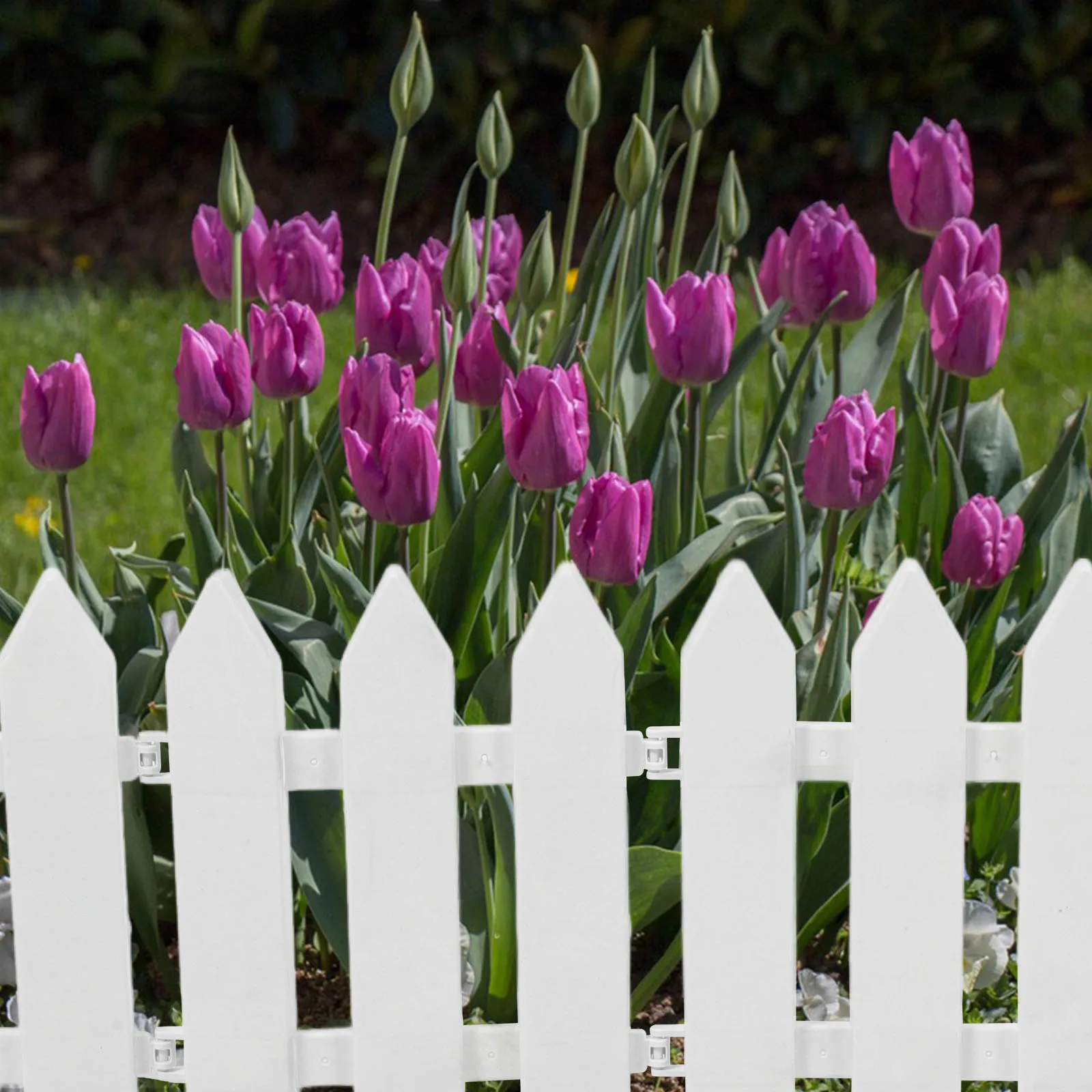 4pcs Garden Fence for Flower Bed Edging Landscape Border Small Fence For Garden Decorative Fencing Outdoor Gardening Tool 
4pcs Garden Fence for Flower Bed Edging Landscape Border Small Fence For Garden Decorative Fencing Outdoor Gardening Tool