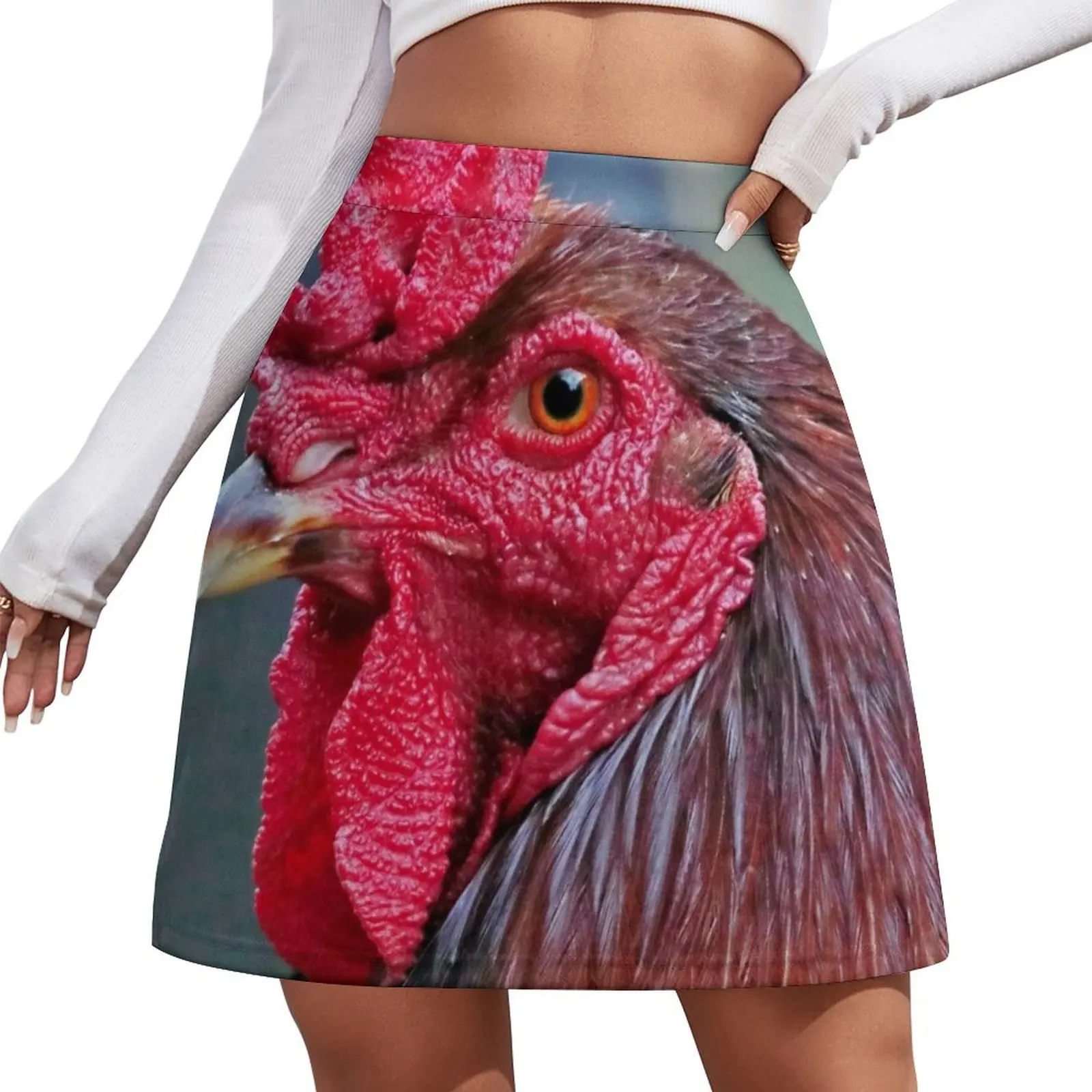 Rooster or Cockerel portrait Mini Skirt School skirt dresses summer woman 2025 Short skirt woman Mini
Rooster or Cockerel portrait Mini Skirt School skirt dresses summer woman 2025 Short skirt woman Mini