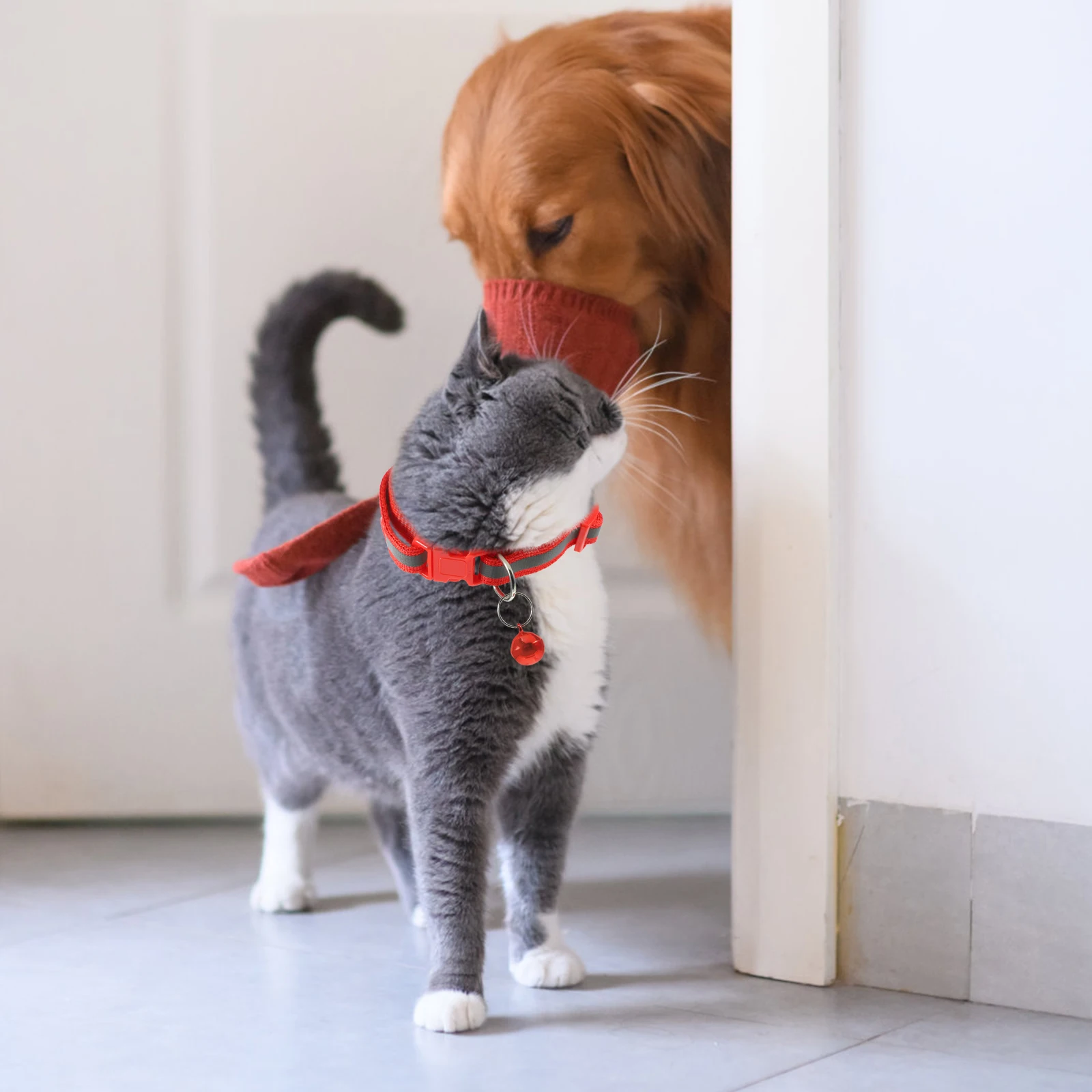 Red Adjustable Pet Collar Bell Christmas Cat Dog Decorative Collar For Small Pets Xmas Party Outdoor Walking Pet Supplies
Red Adjustable Pet Collar Bell Christmas Cat Dog Decorative Collar For Small Pets Xmas Party Outdoor Walking Pet Supplies