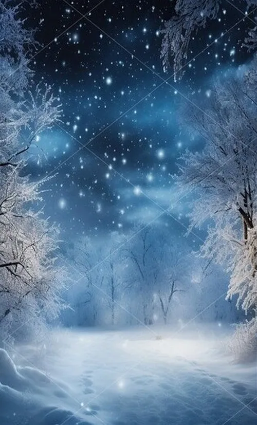 Winter Wonderland Forest Snow Maternity night backdrops High quality computer print christmas Photography Studio Backgrounds
Winter Wonderland Forest Snow Maternity night backdrops High quality computer print christmas Photography Studio Backgrounds