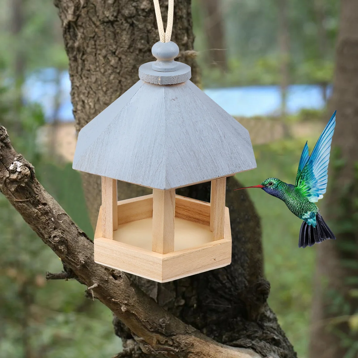 Wooden Nest Swallows Outdoor Breeding Box Hanging Bird Cage Decor Bird House Garden Patio Decor Cage Accessories
Wooden Nest Swallows Outdoor Breeding Box Hanging Bird Cage Decor Bird House Garden Patio Decor Cage Accessories