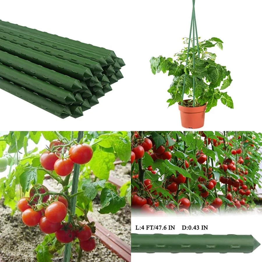 PCS 48" Plant Stakes Garden Tomato Sticks Plant Stakes and Supports for Potted Plants
PCS 48" Plant Stakes Garden Tomato Sticks Plant Stakes and Supports for Potted Plants