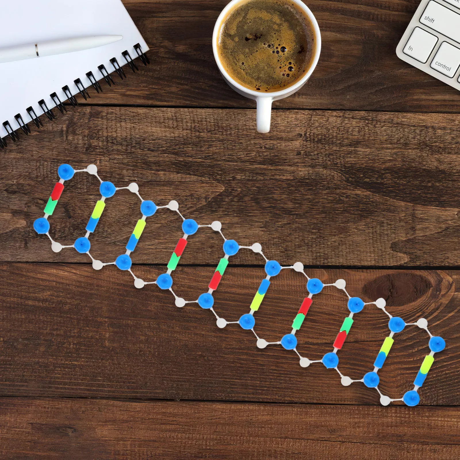 Dna Double Helix Structure Educational Kit Genetics Teaching Classroom Laboratory Science Fair Molecular Biology Study Tool
Dna Double Helix Structure Educational Kit Genetics Teaching Classroom Laboratory Science Fair Molecular Biology Study Tool