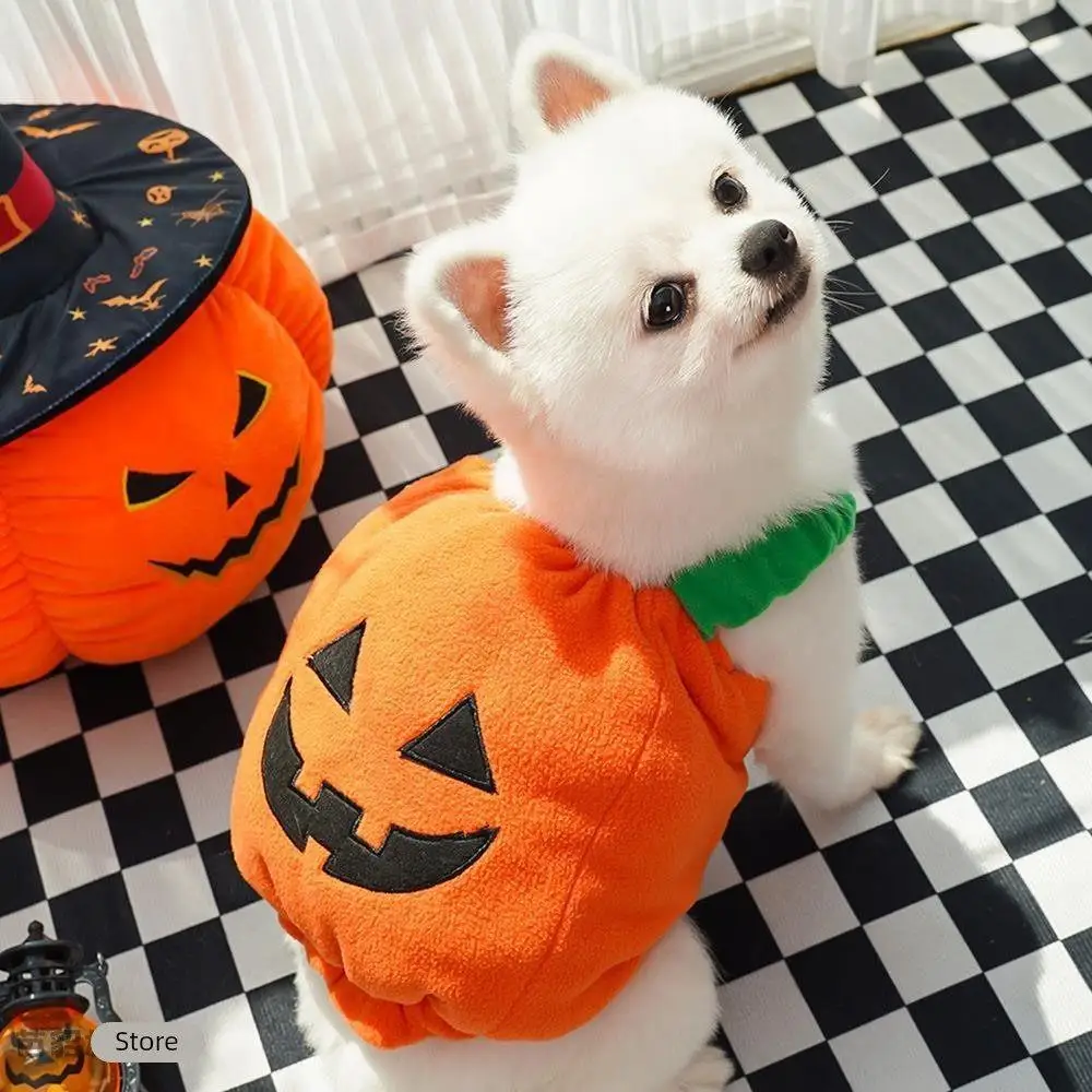 Halloween Dog Costume Pumpkin Light Clothing Teddy Bichon Small Dog Transformation Suit Pet Apparel Functional Winter Wear
Halloween Dog Costume Pumpkin Light Clothing Teddy Bichon Small Dog Transformation Suit Pet Apparel Functional Winter Wear