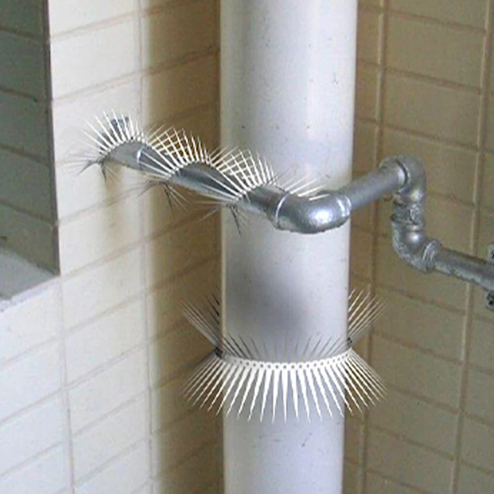 Шипы для птиц Шипы из нержавеющей стали Отпугиватель против голубя, против птиц, белки, садовые заборы для настенных баров, забора, крыши и коры деревьев
Шипы для птиц Шипы из нержавеющей стали Отпугиватель против голубя, против птиц, белки, садовые заборы для настенных баров, забора, крыши и коры деревьев