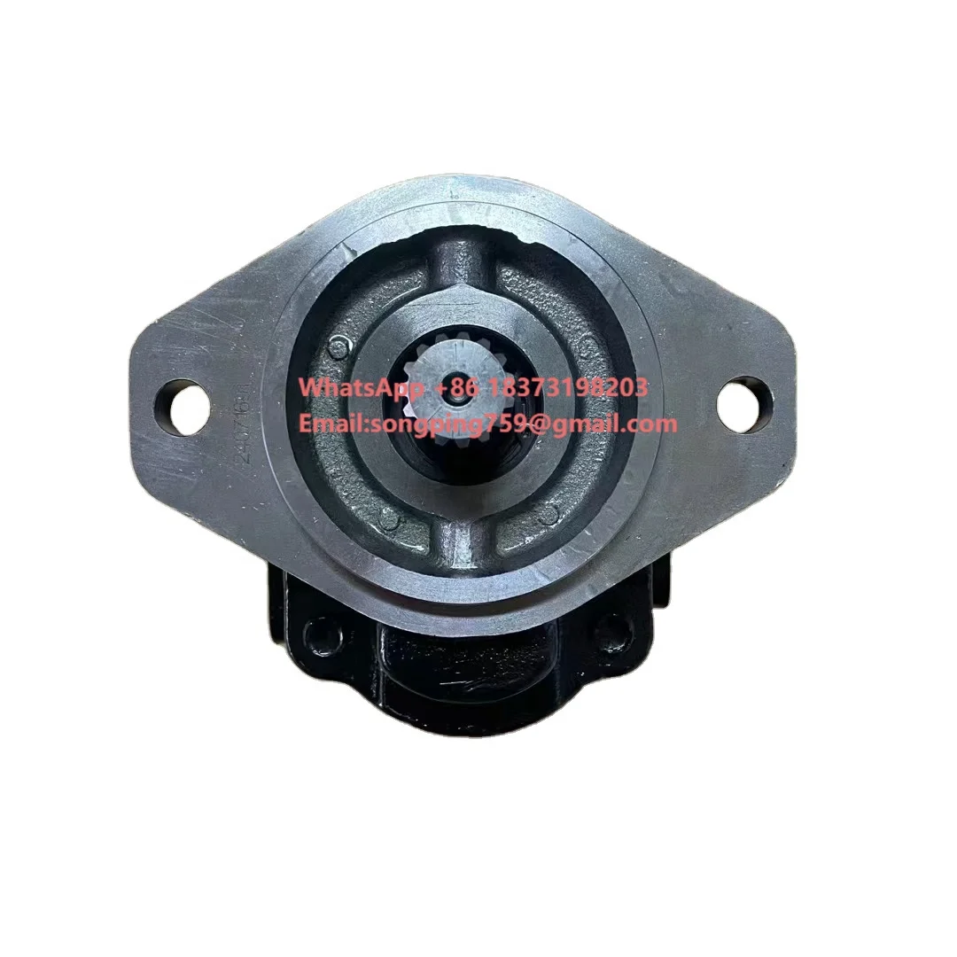 CA-SAPPA KP30.43 Series Hydraulic Gear Pump, KP30.43-06S8 Double Hydraulic Pump
CA-SAPPA KP30.43 Series Hydraulic Gear Pump, KP30.43-06S8 Double Hydraulic Pump