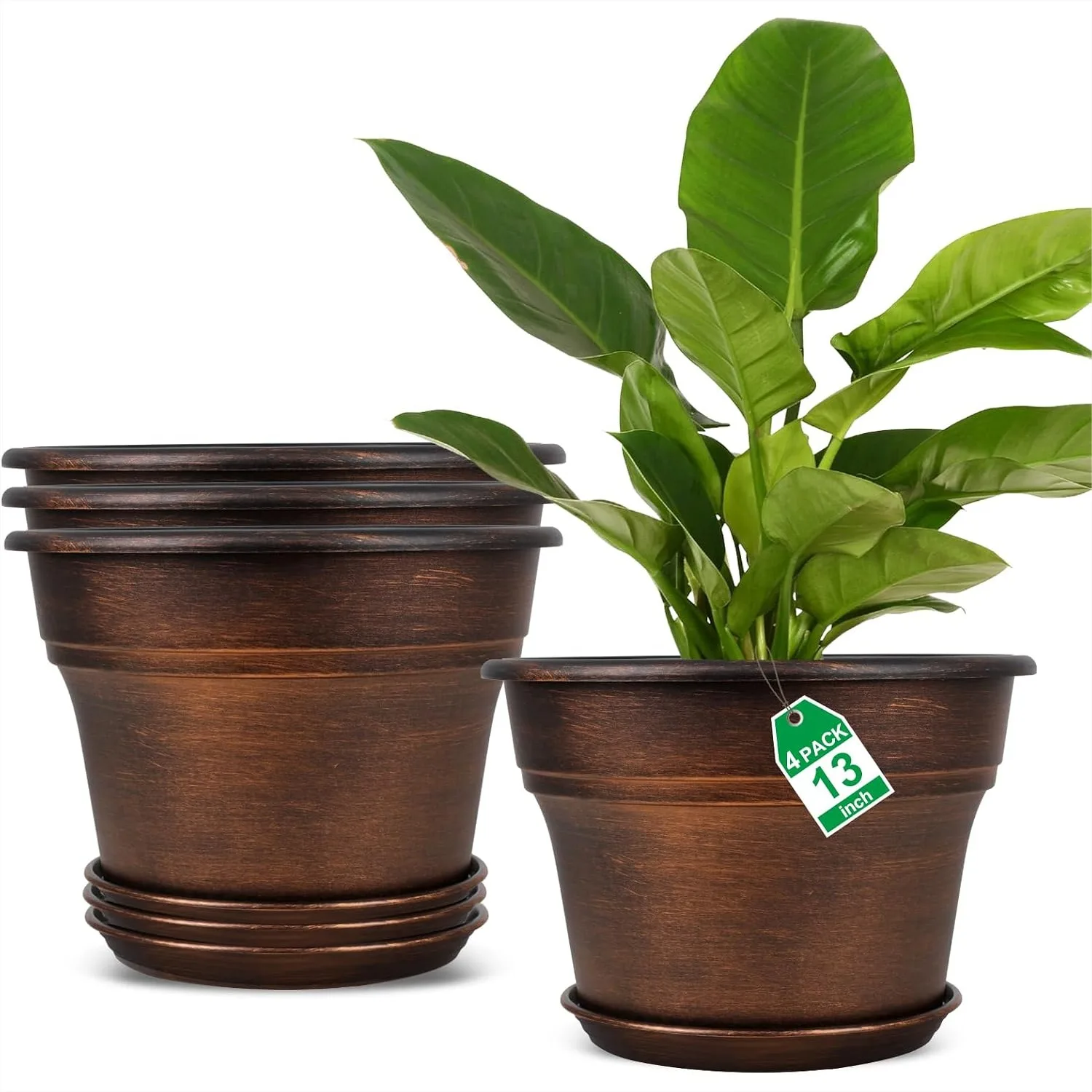 13 Inch Plastic Plant Pots Set of 4 with Drainage Holes & Trays for Indoor Outdoor Garden
13 Inch Plastic Plant Pots Set of 4 with Drainage Holes & Trays for Indoor Outdoor Garden