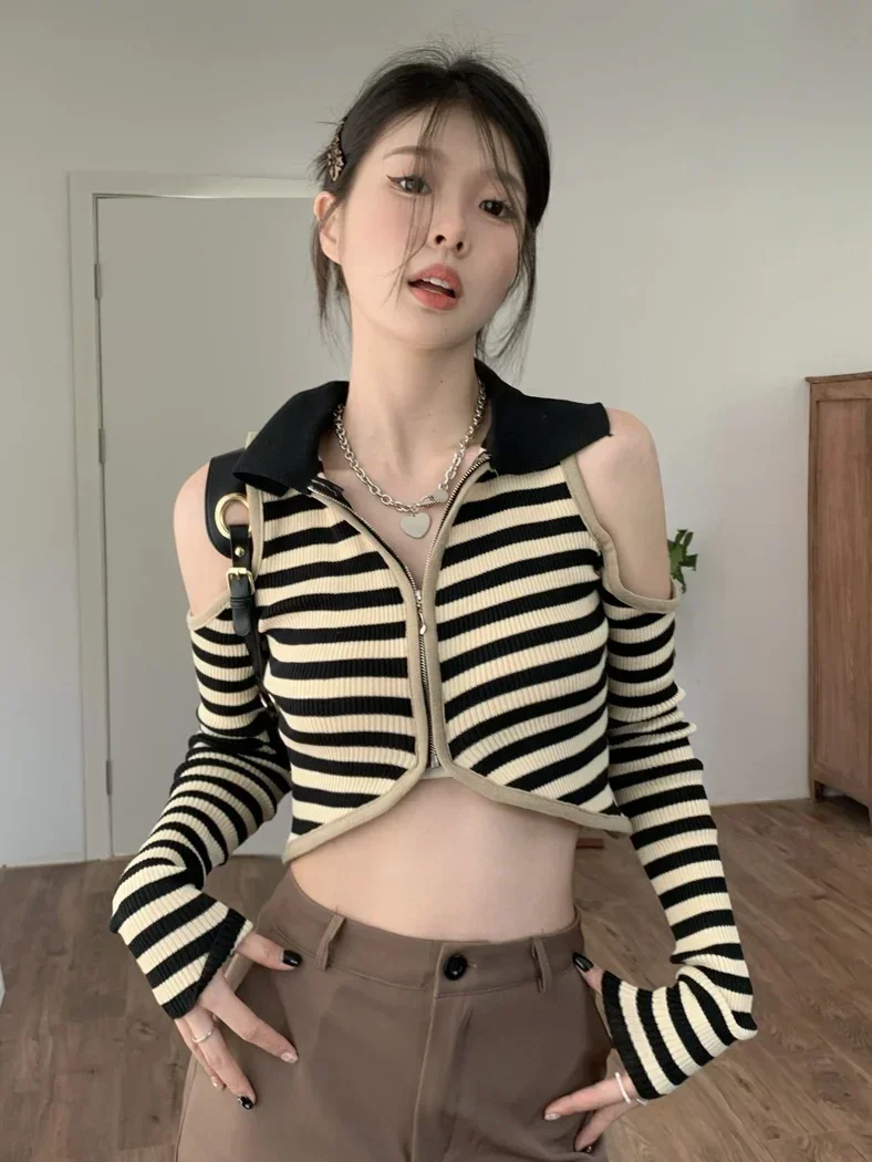 Autumn Hollow Out T Shirt Women Knit Pullover Long Sleeve Striped Crop Tops Y2k Vintage Tops America Retro Tee Tops
Autumn Hollow Out T Shirt Women Knit Pullover Long Sleeve Striped Crop Tops Y2k Vintage Tops America Retro Tee Tops