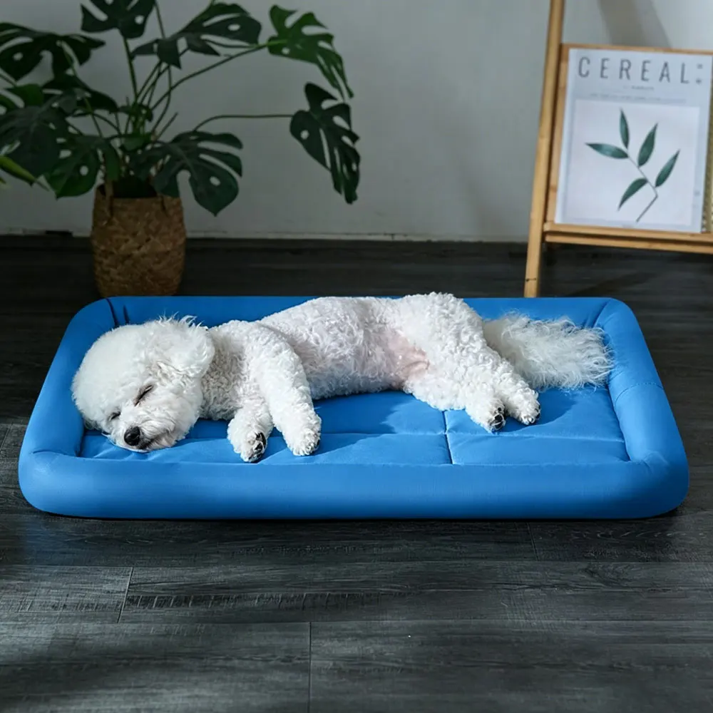 All Season Dog Cooling Mat Summer Cool Waterproof Pet Bed Breathable Ice Silk Comfortable Sleeping Pad for Small Medium Dog Cat
All Season Dog Cooling Mat Summer Cool Waterproof Pet Bed Breathable Ice Silk Comfortable Sleeping Pad for Small Medium Dog Cat