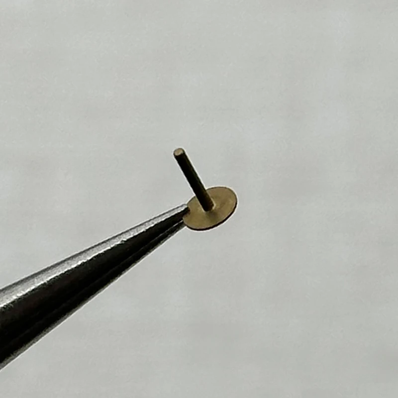 Watch Dial Studs 0.6 mm Dial Positioning Pins Brass Compatible NH35 NH36 NH38 Dials Dial Foot Modification Repair Parts
Watch Dial Studs 0.6 mm Dial Positioning Pins Brass Compatible NH35 NH36 NH38 Dials Dial Foot Modification Repair Parts