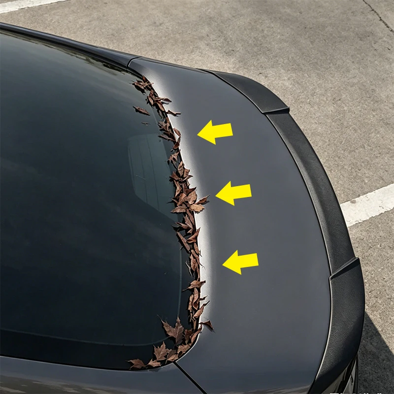 Car Trunk Seal Strip Waterproof Dustproof Rubber Strip Rear Trunk Weather Strip Prevent Leaves Rain Snow Dust Universal Auto
Car Trunk Seal Strip Waterproof Dustproof Rubber Strip Rear Trunk Weather Strip Prevent Leaves Rain Snow Dust Universal Auto