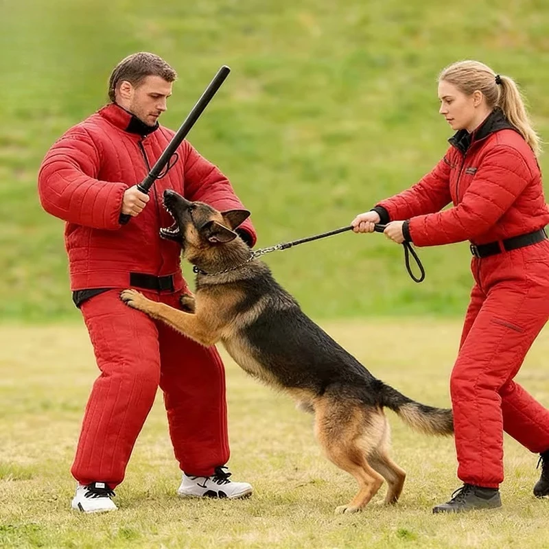 Factory Direct New Fashion Dog Training Bite Suit Heavy Duty Tear Resistant Protective Outfit for Outdoor Attack Training
Factory Direct New Fashion Dog Training Bite Suit Heavy Duty Tear Resistant Protective Outfit for Outdoor Attack Training