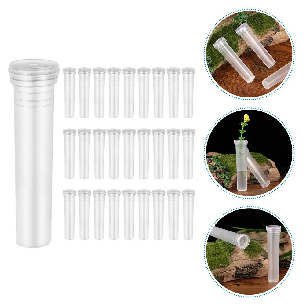 100Pcs Transparent Hydroponic Vase Plastic Flower Tubes Desktop Plant Terrarium Home Decor Propagation Tube Hydroponic Vase
100Pcs Transparent Hydroponic Vase Plastic Flower Tubes Desktop Plant Terrarium Home Decor Propagation Tube Hydroponic Vase