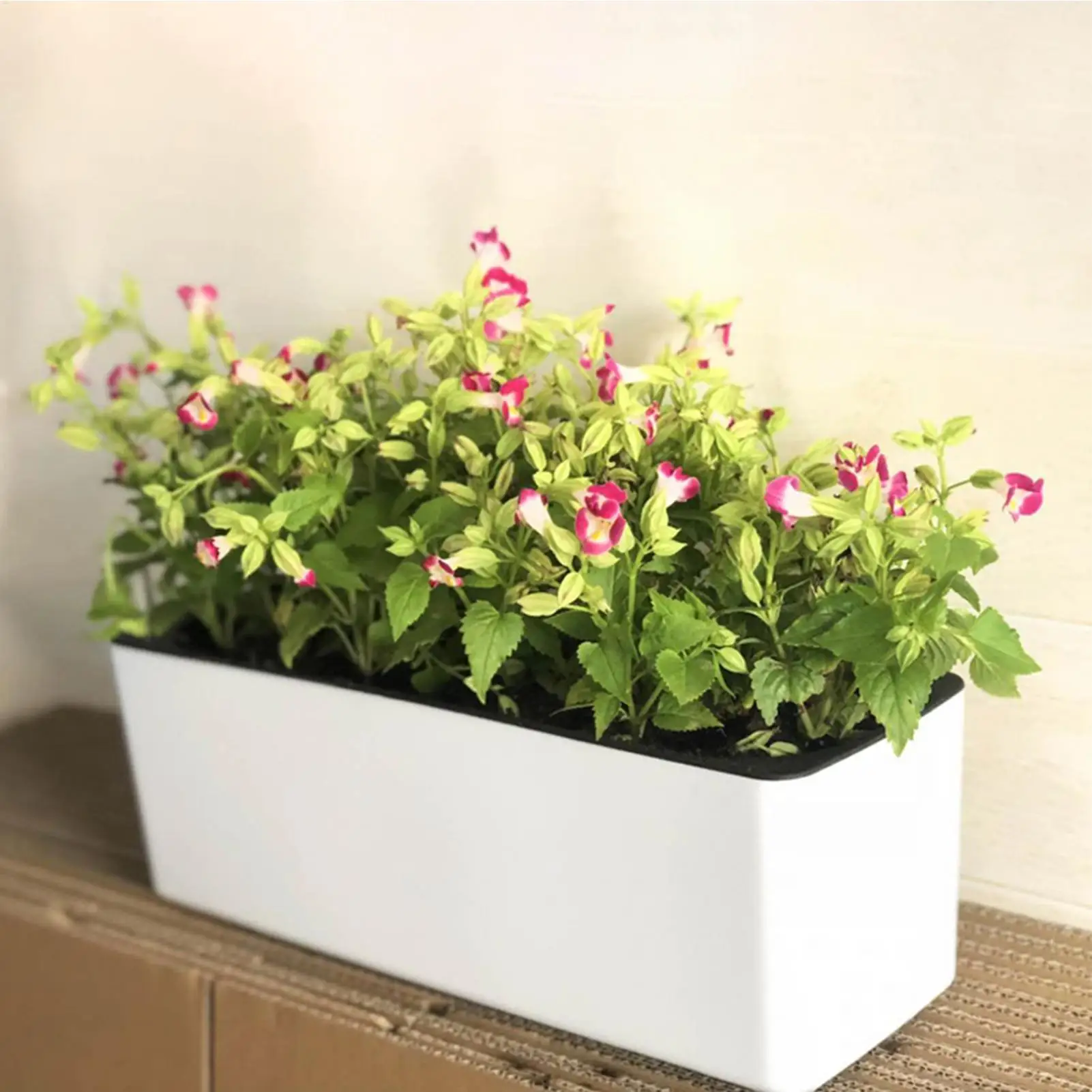 Plant Pots Self-Watering Breathable Flowerpot Self-Watering Planter for Indoor Living Room Outdoor Balcony Patio Windowsill
Plant Pots Self-Watering Breathable Flowerpot Self-Watering Planter for Indoor Living Room Outdoor Balcony Patio Windowsill