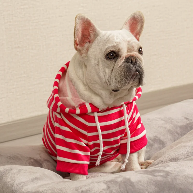 Four Season Pet Hooded Sweatshirt Small And Medium-Sized Pet Bipedal Sweatshirt Cat Suit Dog Suit Sweat Absorbing And Breathable
Four Season Pet Hooded Sweatshirt Small And Medium-Sized Pet Bipedal Sweatshirt Cat Suit Dog Suit Sweat Absorbing And Breathable