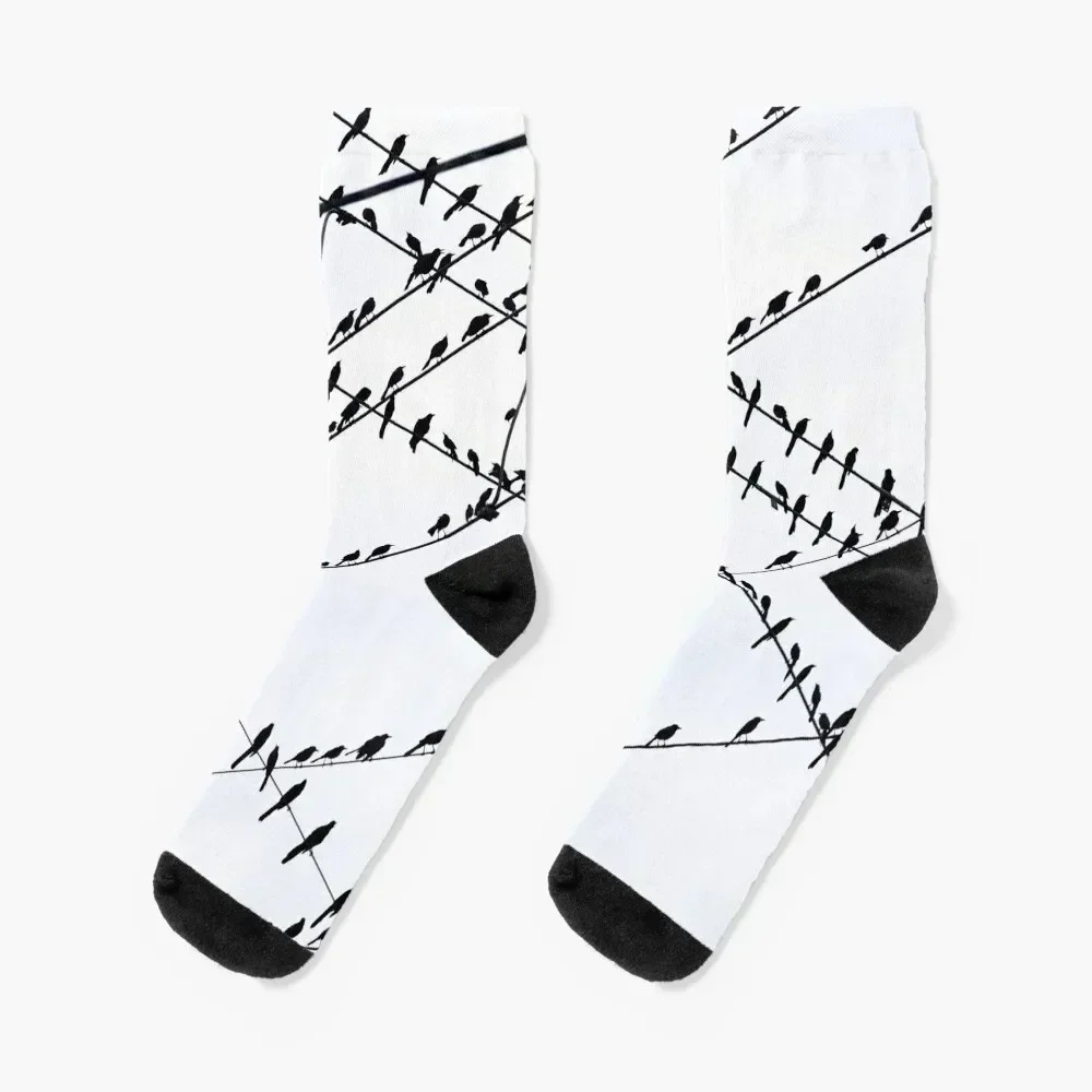 The Grackles Socks cartoon gifts christmas gift new in's Women Socks Men's cycling soccer anti-slip Toe sports Socks Woman Men's
The Grackles Socks cartoon gifts christmas gift new in's Women Socks Men's cycling soccer anti-slip Toe sports Socks Woman Men's