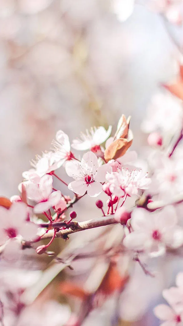 Алюминиевые масляные амортизаторы OP-1670 54670 для радиоуправляемых моделей Tamiya WR-02 GF-01 G6-01 XV-01 WR02 GF01 G601 XV01 1/10
Алюминиевые масляные амортизаторы OP-1670 54670 для радиоуправляемых моделей Tamiya WR-02 GF-01 G6-01 XV-01 WR02 GF01 G601 XV01 1/10