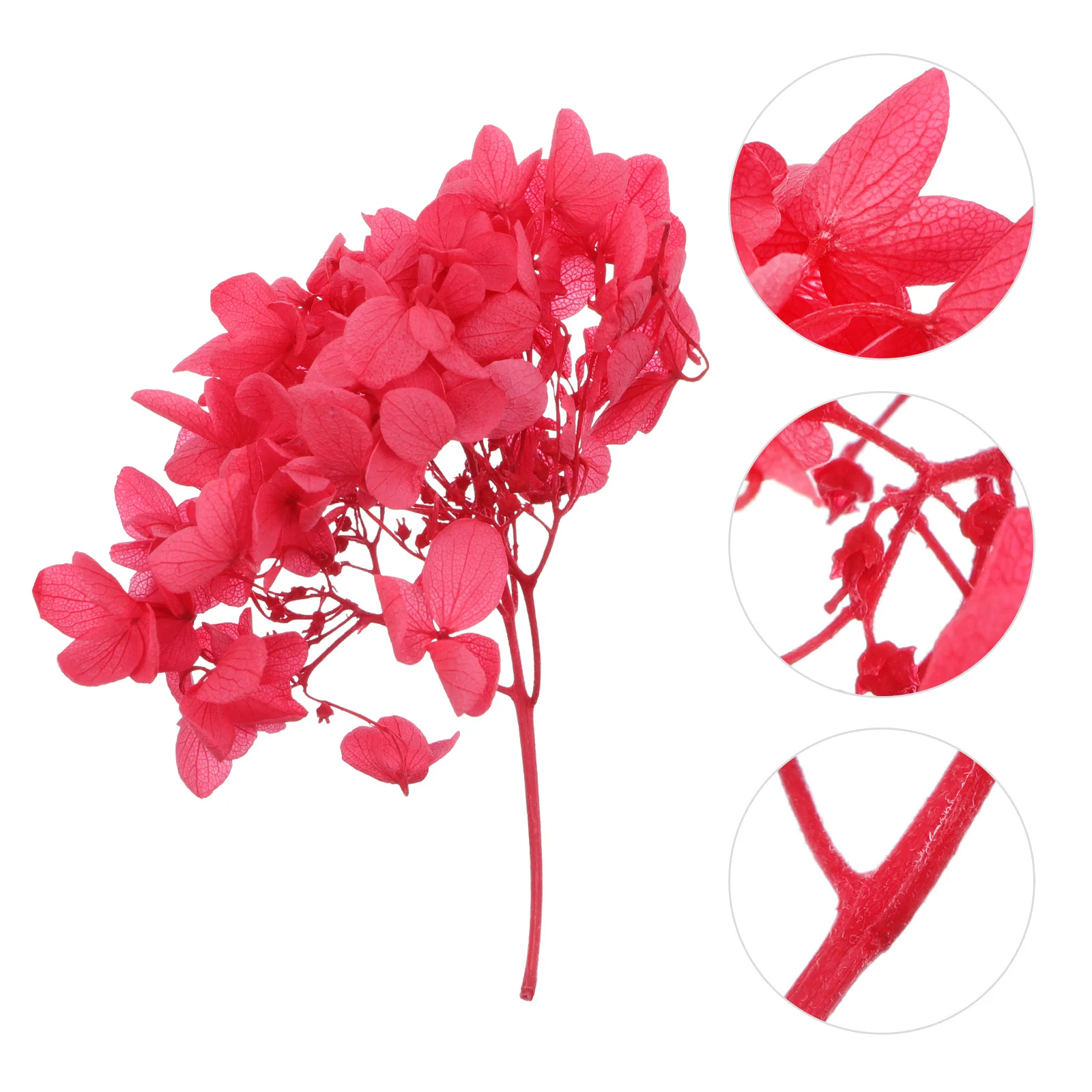 Everlasting Flower Rose Natural Dried Hydrangea Materials Preserved Handmade Red Flowers for DIY Art Crafts Bride
Everlasting Flower Rose Natural Dried Hydrangea Materials Preserved Handmade Red Flowers for DIY Art Crafts Bride