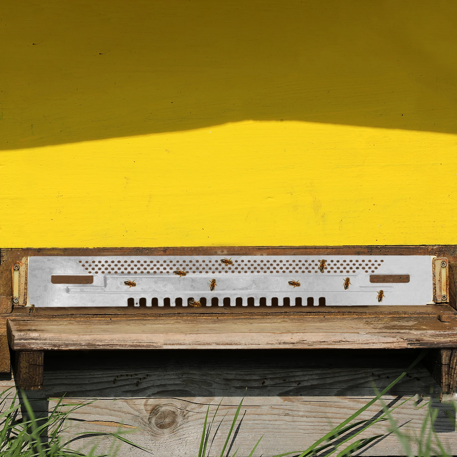 Beehive Entrance Reducer Galvanized Iron Durable Beekeeping Tool Anti Escape Sheet Hive Protector Hive Entrance Reducer
Beehive Entrance Reducer Galvanized Iron Durable Beekeeping Tool Anti Escape Sheet Hive Protector Hive Entrance Reducer