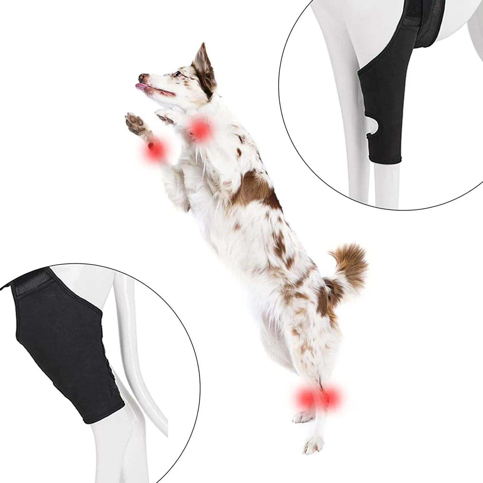 Dog Hip Leg Brace Sleeve Adjustable Daily Activity Aid Flexible Simple Assembly
Dog Hip Leg Brace Sleeve Adjustable Daily Activity Aid Flexible Simple Assembly
