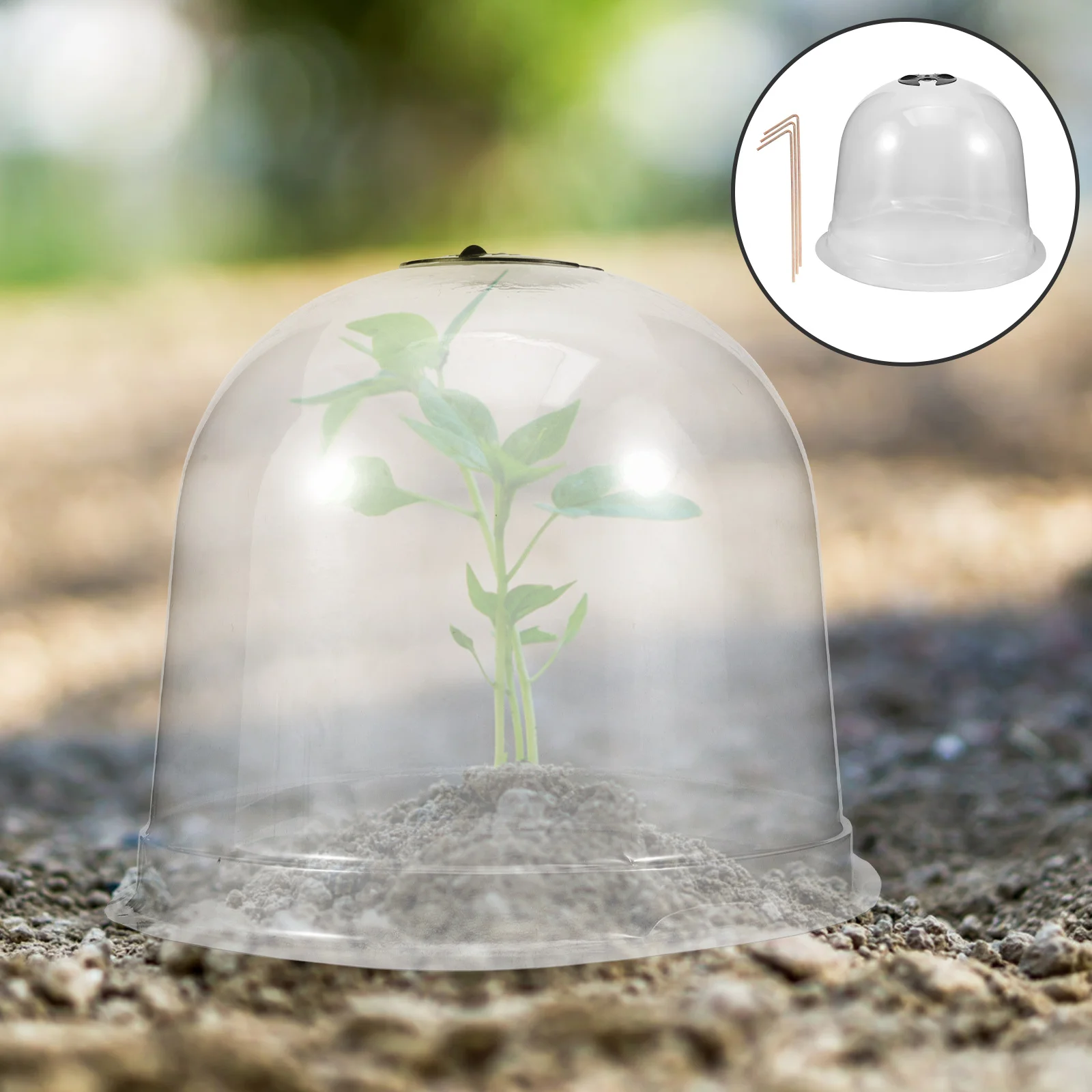 1 Set Garden Cloche Dome Plastic Plant Protector For Frost Snow Protection Outdoor Vegetable Garden Lightweight Transparent
1 Set Garden Cloche Dome Plastic Plant Protector For Frost Snow Protection Outdoor Vegetable Garden Lightweight Transparent