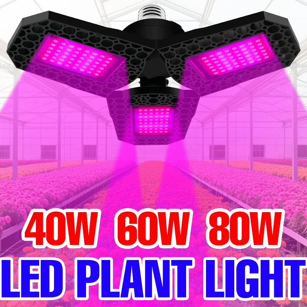 Светодиодная лампа для растений 80W E27, полный спектр, для гидропоники, теплиц, выращивания овощей и цветов в помещении
Светодиодная лампа для растений 80W E27, полный спектр, для гидропоники, теплиц, выращивания овощей и цветов в помещении