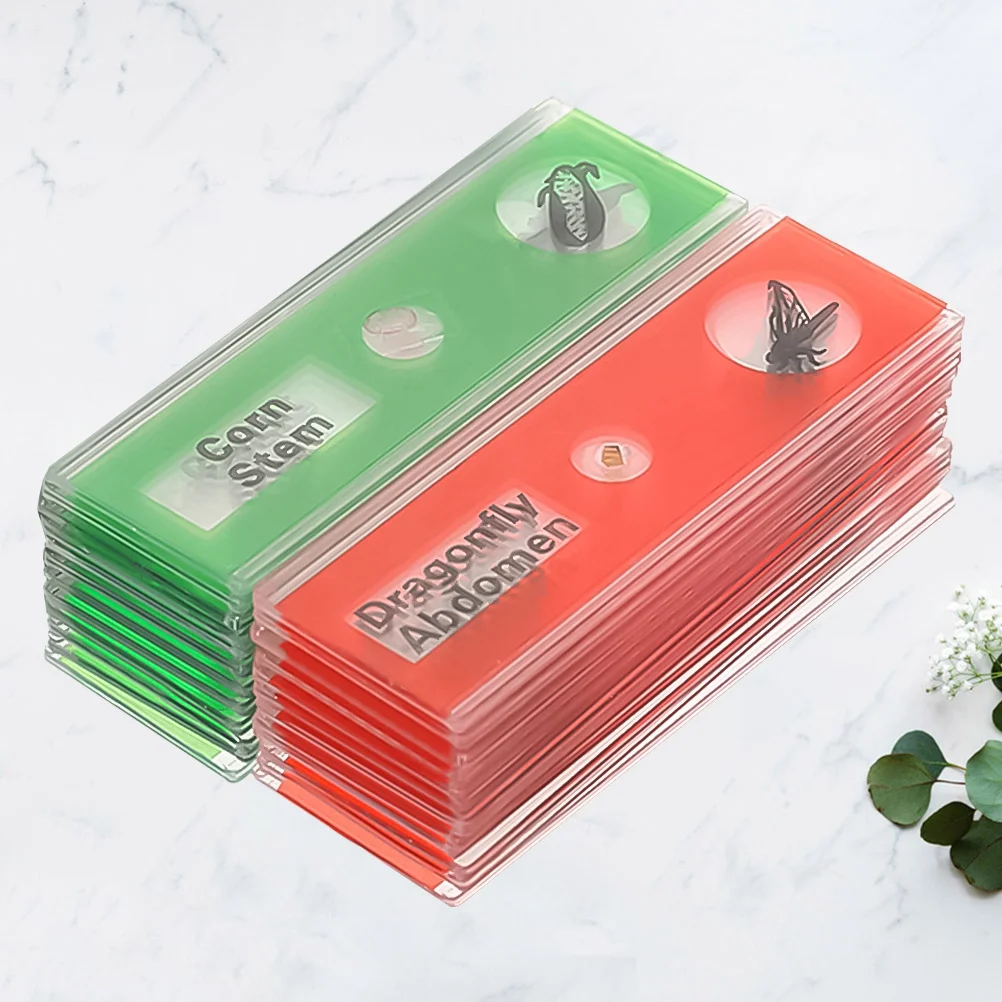 24Pcs Biological Microscope Slides Green Plant Specimens Labeled for Kids Science Learning Plastic Sample Set Microscope Slide
24Pcs Biological Microscope Slides Green Plant Specimens Labeled for Kids Science Learning Plastic Sample Set Microscope Slide