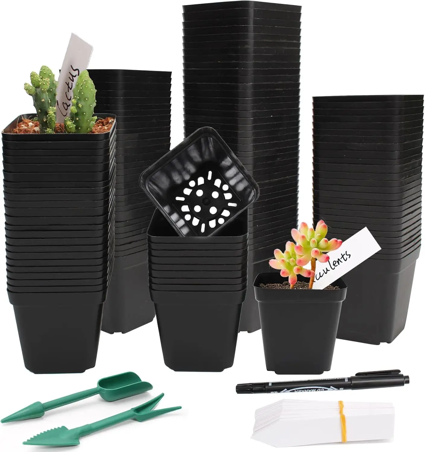 100 Pcs 2.6" Square Nursery Pots with 60 Labels & Tools - Thickened Reusable Seedling Pots for Succulents, Flowers, Cuttings, Greenhouse
100 Pcs 2.6" Square Nursery Pots with 60 Labels & Tools - Thickened Reusable Seedling Pots for Succulents, Flowers, Cuttings, Greenhouse