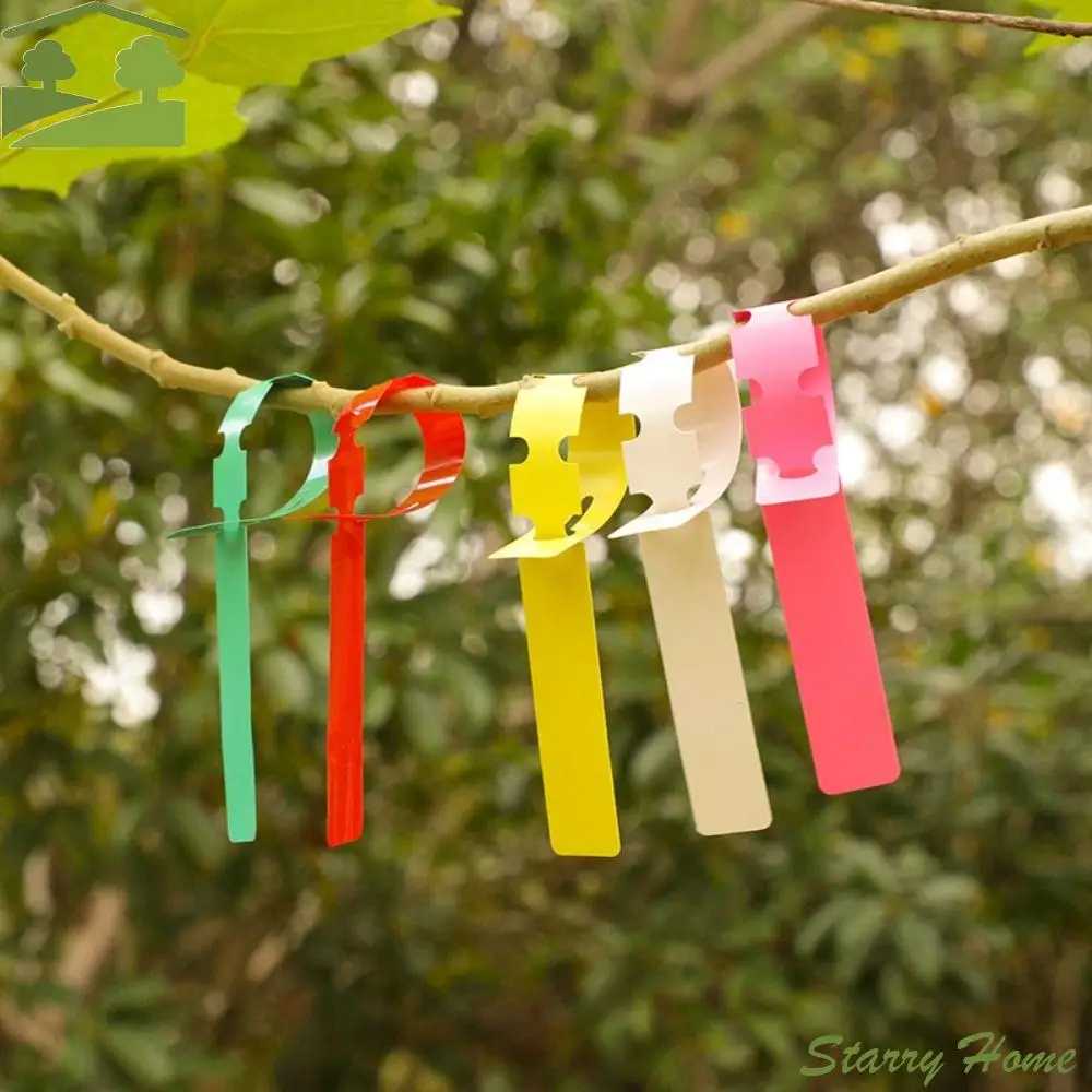 200pcs Plant Label Tools Waterproof Plant Hanging Tags PVC Solid Color Plant Markers Reusable Garden Flower Label Garden Pots
200pcs Plant Label Tools Waterproof Plant Hanging Tags PVC Solid Color Plant Markers Reusable Garden Flower Label Garden Pots