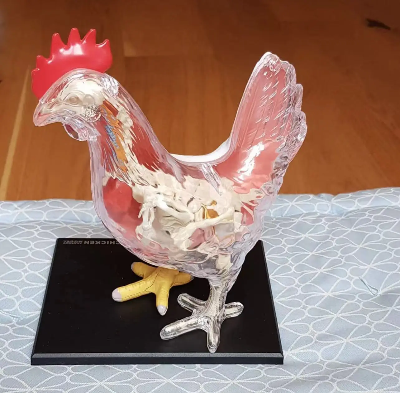 4D MASTER Chicken Model 32Parts Animal Anatomical Toy Skeleton 26003 Educational Equipment DIY Gift Teaching
4D MASTER Chicken Model 32Parts Animal Anatomical Toy Skeleton 26003 Educational Equipment DIY Gift Teaching