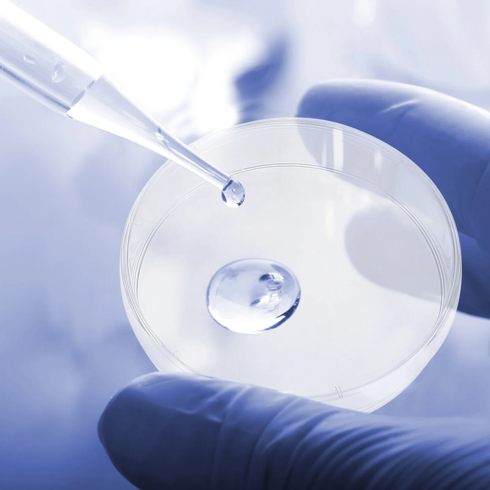 30 Pcs Culture Plate Science Clear Laboratory UV Experiment Supply Tissue Specimen Containers Cell 
30 Pcs Culture Plate Science Clear Laboratory UV Experiment Supply Tissue Specimen Containers Cell