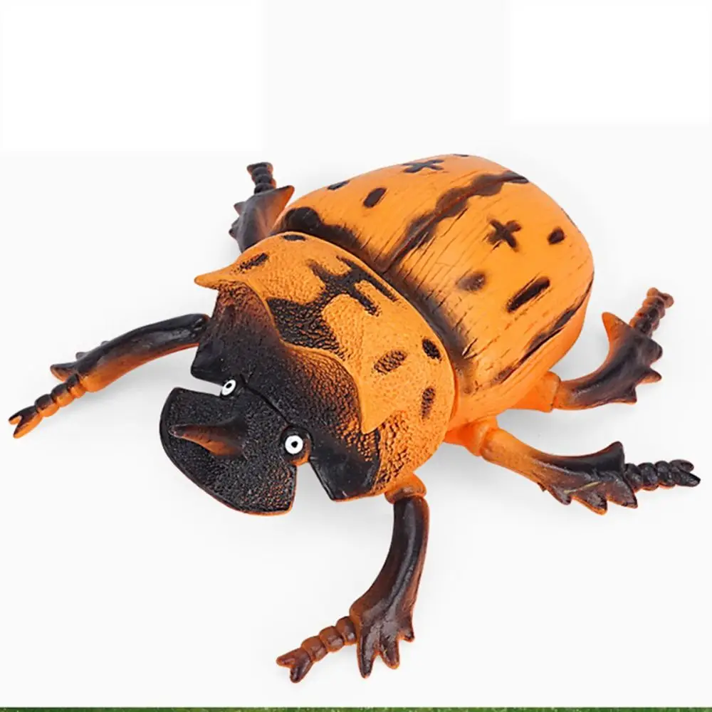 Insect Figure Toy Spiders Simulated Insect Model Grasshopper Cricket Simulation Wildlife Model Insect Model Simulation Kids Toys
Insect Figure Toy Spiders Simulated Insect Model Grasshopper Cricket Simulation Wildlife Model Insect Model Simulation Kids Toys