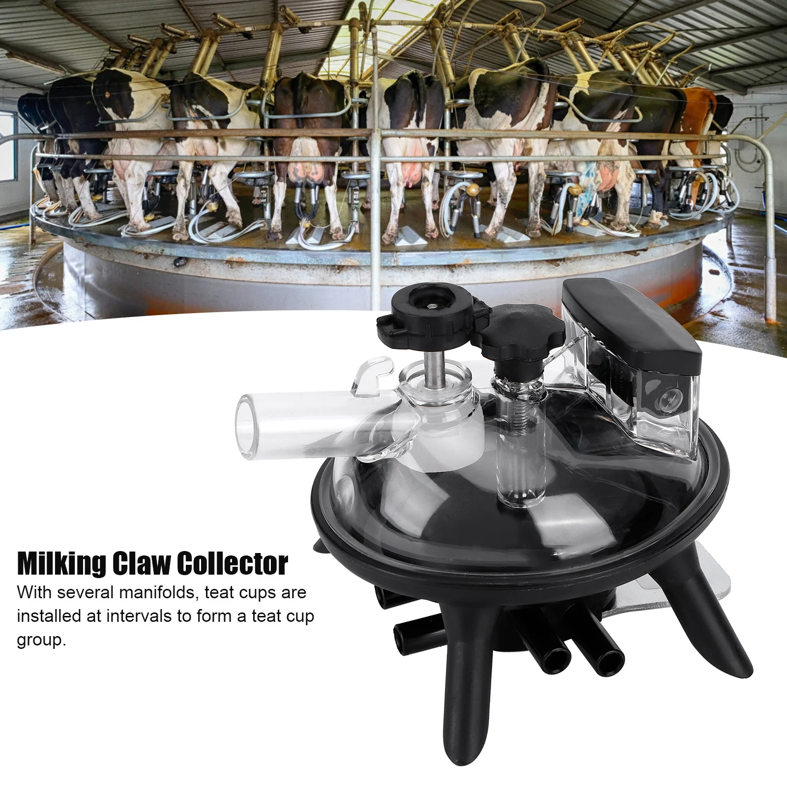 240ml Milking Claw Collector Milking Machine Accessory Livestock Supplies for Sheep Goat Cow Milking Claw Collector Milking Claw
240ml Milking Claw Collector Milking Machine Accessory Livestock Supplies for Sheep Goat Cow Milking Claw Collector Milking Claw