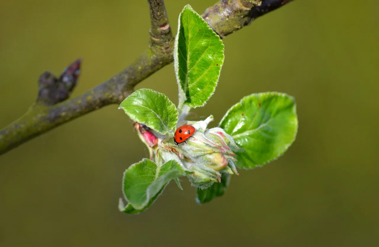HOTA T330 Gallium Nitride GaN Power Adapter 330W GaN+SiC 100-240V Compact High Power Supply for RC Charger
HOTA T330 Gallium Nitride GaN Power Adapter 330W GaN+SiC 100-240V Compact High Power Supply for RC Charger
