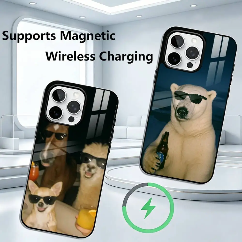 Funny and amusin Phone Case For iPhone17,16,15,14,13,12,11 Plus,Pro Supports Magnetic Wireless Charging
Funny and amusin Phone Case For iPhone17,16,15,14,13,12,11 Plus,Pro Supports Magnetic Wireless Charging