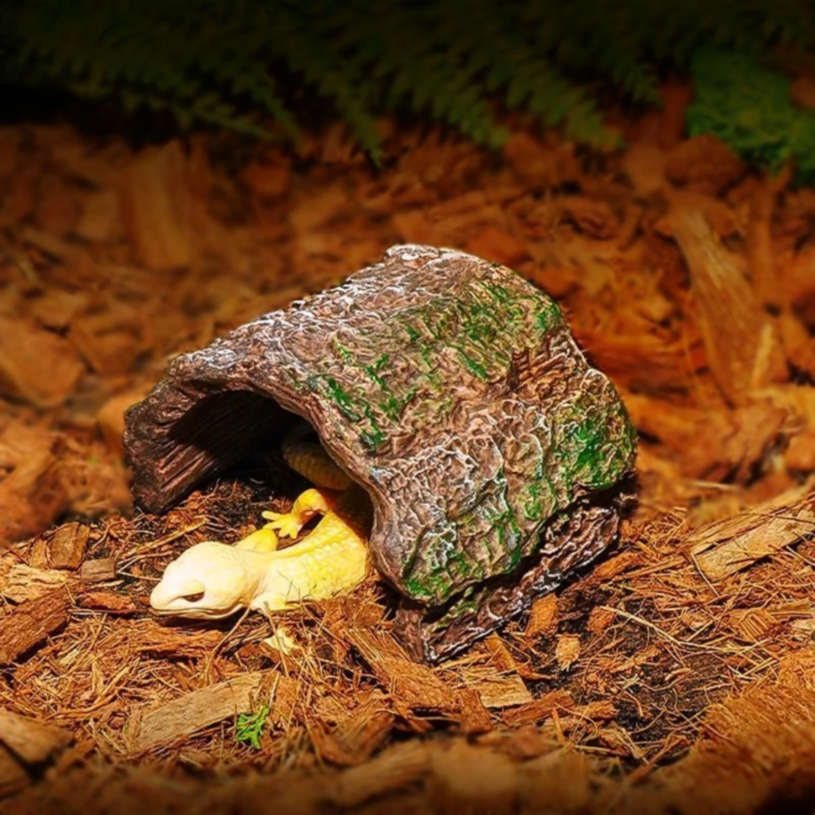 Tree Trunk Hide Naturalistic Amphibian Hide Tree Trunk Hideout Natural Look Amphibian Cave Decor Textured Surface
Tree Trunk Hide Naturalistic Amphibian Hide Tree Trunk Hideout Natural Look Amphibian Cave Decor Textured Surface
